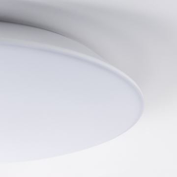 Brilagi - LED Koupelnové stropní svítidlo VESTAS LED/12W/230V 4000K IP54