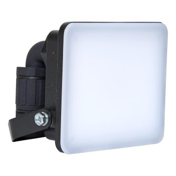 Brilagi - LED Reflektor ELARA PRO LED/10W/230V IP65