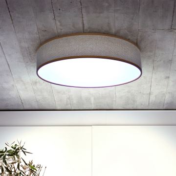 Brilagi - LED Stmívatelné stropní svítidlo CARMEN LED/48W/230V 3000-6500K pr. 40 cm + dálkové ovládání