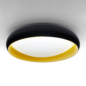 Brilagi - LED Stmívatelné stropní svítidlo LIVIA LED/48W/230V 3000-6500K pr. 42 cm + dálkové ovládání