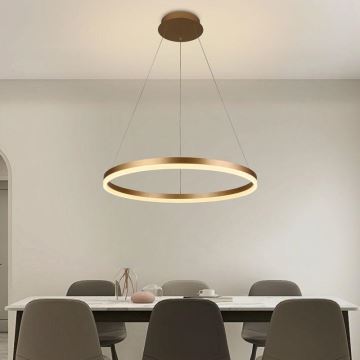 Brilagi - LED Stmívatelný lustr na lanku CIRCLE LED/42W/230V 3000-6500K + dálkové ovládání