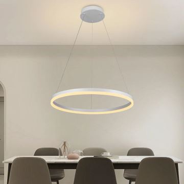 Brilagi - LED Stmívatelný lustr na lanku CIRCLE LED/42W/230V 3000-6500K + dálkové ovládání