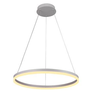 Brilagi - LED Stmívatelný lustr na lanku CIRCLE LED/42W/230V 3000-6500K + dálkové ovládání