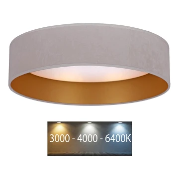 Brilagi - LED Stropní svítidlo VELVET LED/12W/230V pr. 30 cm 3000K/4000K/6400K krémová/zlatá