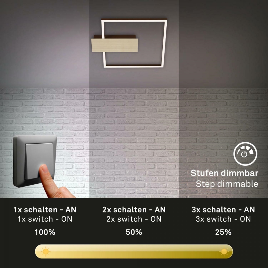 Briloner 3544-017 - LED Stmívatelné stropní svítidlo NICO LED/12W/230V