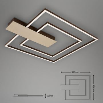 Briloner 3545-017 - LED Stmívatelné stropní svítidlo NICO LED/25W/230V zlatá