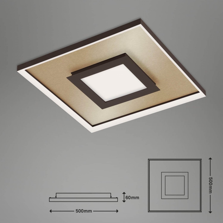 Briloner 3641-017 - LED Stmívatelné stropní svítidlo FRAME LED/30W/230V 2700-6500K zlatá + dálkové ovládání