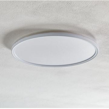 Briloner 7094-416 - LED RGBW Stmívatelné stropní svítidlo SLIM LED/22W/230V + dálkové ovládání