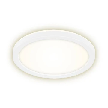 Briloner 7150-416 - LED Stropní svítidlo SLIM LED/12W/230V pr. 19 cm