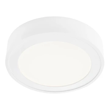 Briloner 7290-016 - LED Stropní svítidlo UP LED/12W/230V bílá