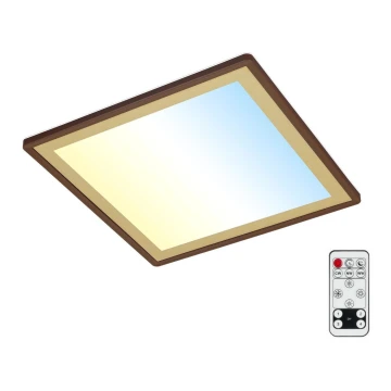 Briloner 7459-417 - LED Stmívatelné stropní svítidlo DECO LED/24W/230V 2700-6500K + dálkové ovládání