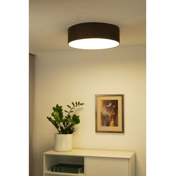 Duolla - LED Stropní svítidlo CORTINA LED/26W/230V pr. 30 cm hnědá