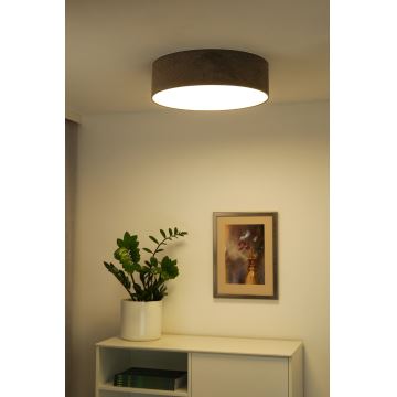 Duolla - LED Stropní svítidlo CORTINA LED/26W/230V pr. 30 cm hnědá