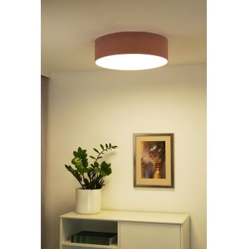 Duolla - LED Stropní svítidlo CORTINA LED/26W/230V pr. 30 cm růžová