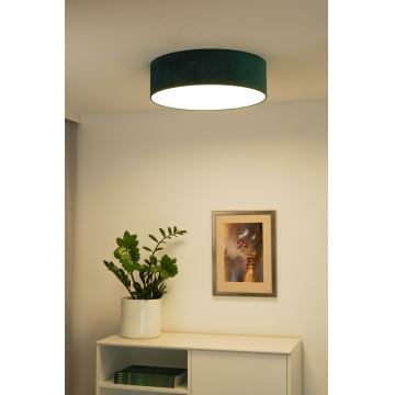 Duolla - LED Stropní svítidlo CORTINA LED/26W/230V pr. 30 cm zelená