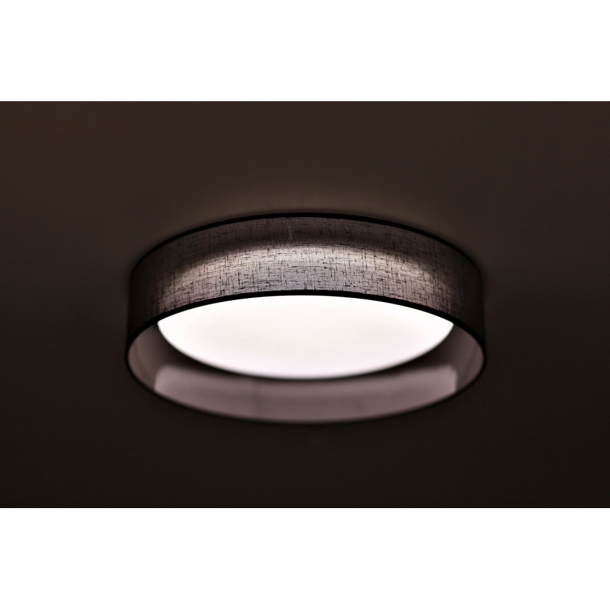 Duolla - LED Stropní svítidlo ROLLER LED/24W/230V antracit