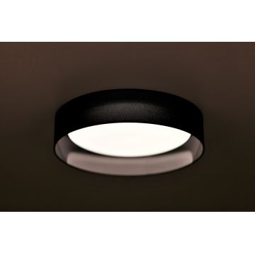 Duolla - LED Stropní svítidlo ROLLER LED/24W/230V černá