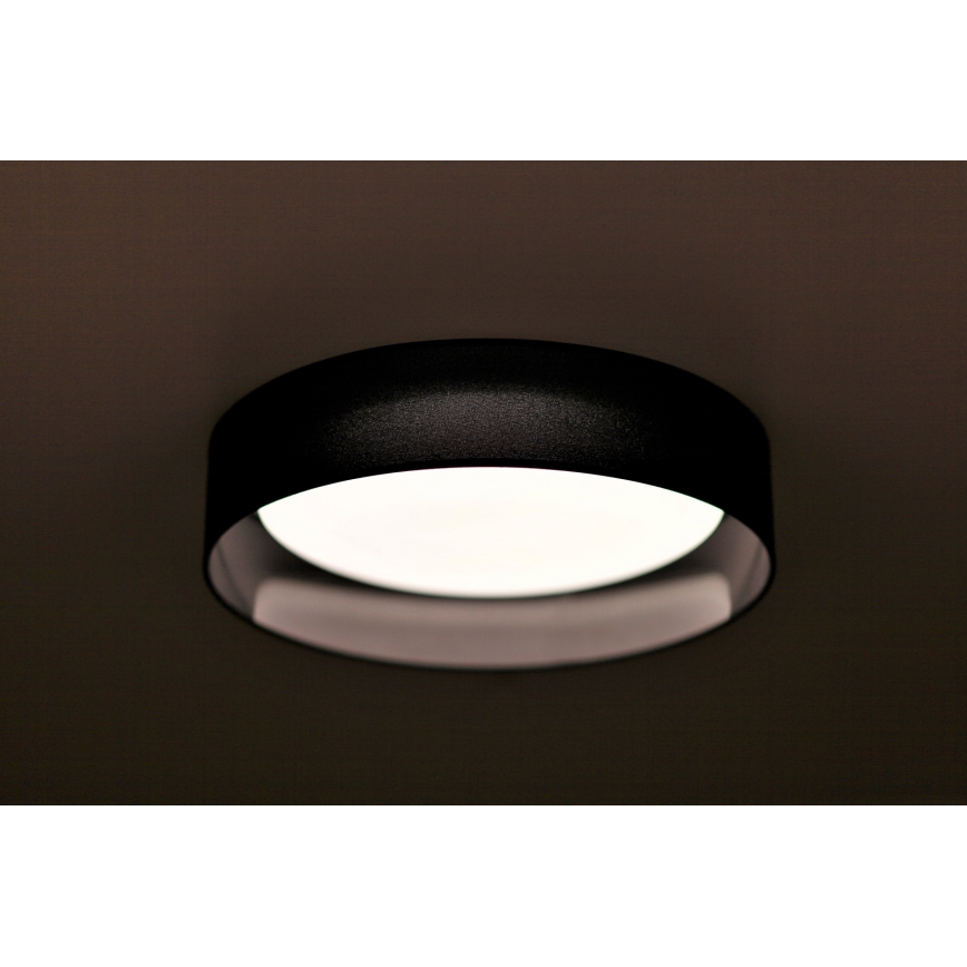 Duolla - LED Stropní svítidlo ROLLER LED/24W/230V černá