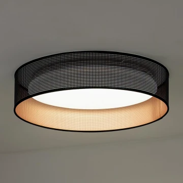 Duolla - LED Stropní svítidlo ROLLER LED/24W/230V černá/měděná