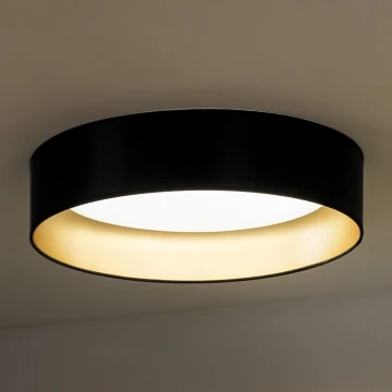 Duolla - LED Stropní svítidlo ROLLER LED/24W/230V černá/zlatá