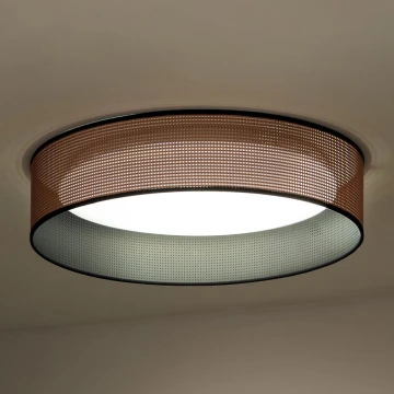 Duolla - LED Stropní svítidlo ROLLER LED/24W/230V měděná/černá