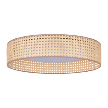 Duolla - LED Stropní svítidlo ROLLER LED/24W/230V ratan