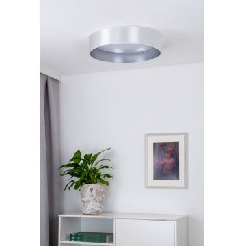 Duolla - LED Stropní svítidlo ROLLER LED/24W/230V stříbrná