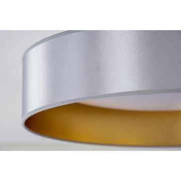 Duolla - LED Stropní svítidlo ROLLER LED/24W/230V stříbrná/zlatá