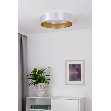 Duolla - LED Stropní svítidlo ROLLER LED/24W/230V stříbrná/zlatá