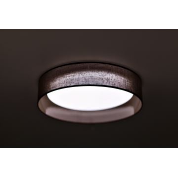 Duolla - LED Stropní svítidlo ROLLER LED/24W/230V tmavě hnědá