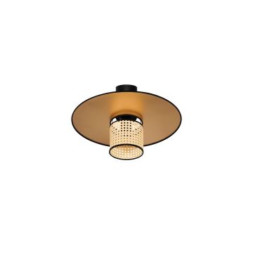 Duolla - Přisazený lustr TOKYO RATTAN 1xE27/15W/230V zlatá/ratan