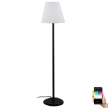 Eglo 31057 - LED RGBW Stmívatelná venkovní lampa 1xE27/9W/230V IP44