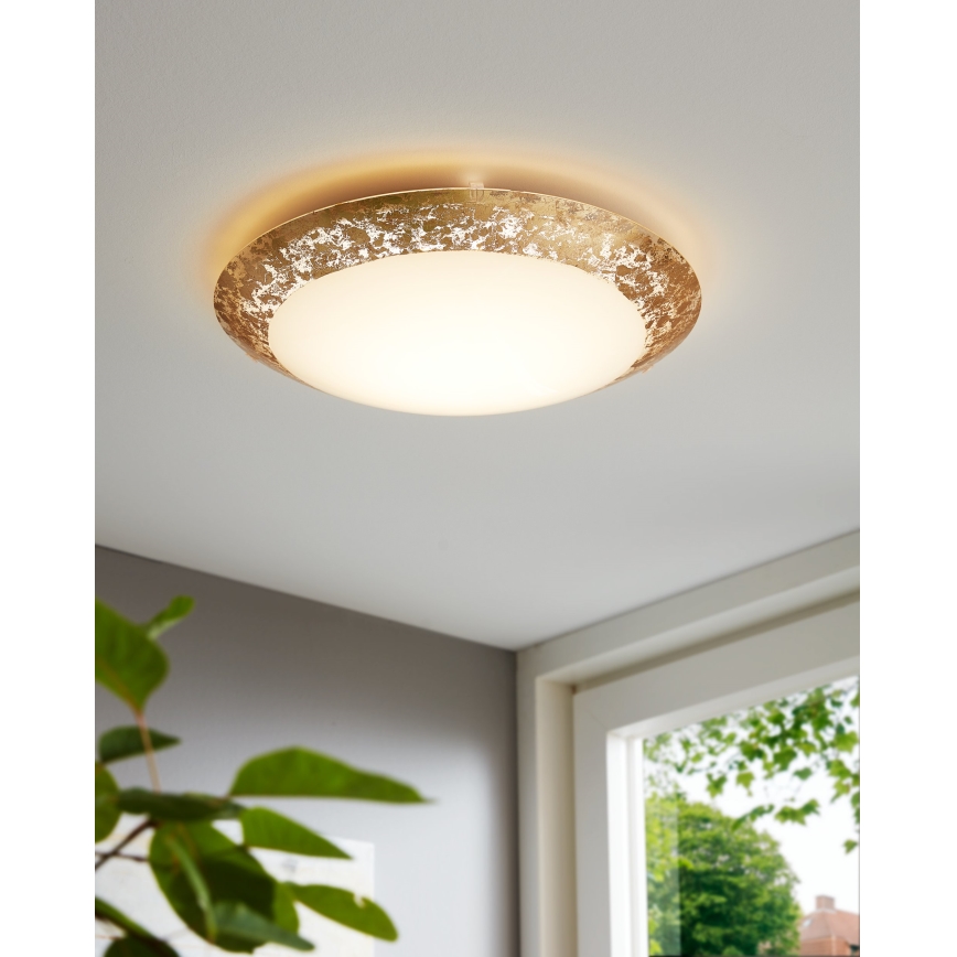 Eglo 98023 - LED Stropní svítidlo MONTENOVO LED/16W/230V zlatá