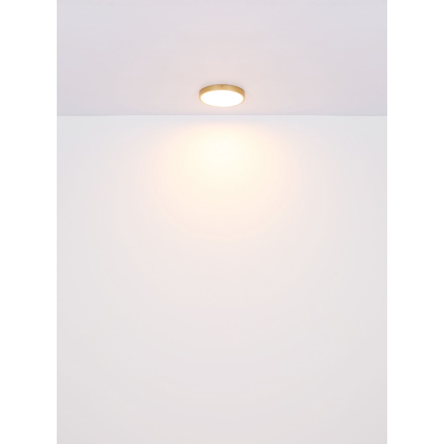 Globo - LED Stropní svítidlo LED/15W/230V pr. 25 cm