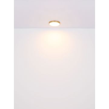 Globo - LED Stropní svítidlo LED/22W/230V pr. 35 cm