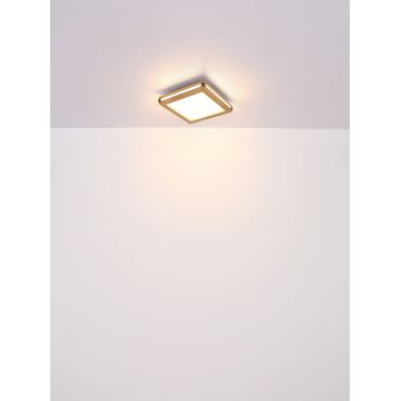 Globo - LED Stropní svítidlo LED/24W/230V 45x45 cm