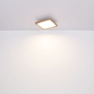 Globo - LED Stropní svítidlo LED/12W/230V 30 cm 2700/4500/6500K