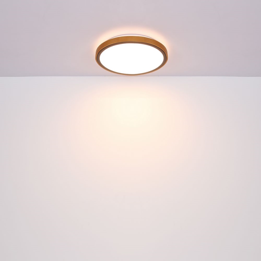 Globo - LED Stropní svítidlo LED/24W/230V 437mm 3000/4500/6000K