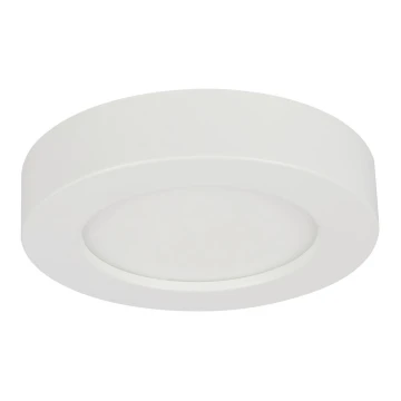 Globo - LED Stmívatelné koupelnové svítidlo LED/18W/230V 3000/4000/6000K IP44