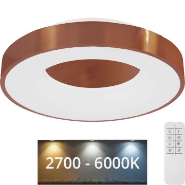 Globo - LED Stmívatelné stropní svítidlo LED/30W/230V 2700-6000K + dálkové ovládání