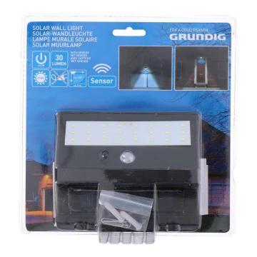 Grundig - LED Solární svítidlo se senzorem 1xLED/0,25W/1xAA