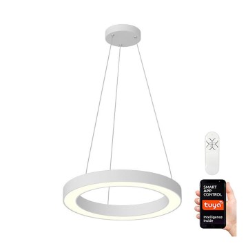 Immax NEO 07091L - LED Stmívatelný lustr na lanku PASTEL LED/52W/230V 60 cm bílý Tuya + dálkové ovládání 