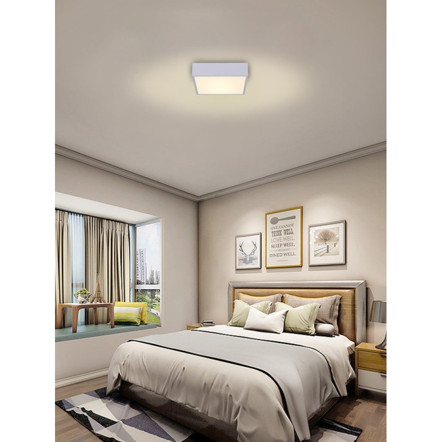 Immax NEO 07238L - LED Stmívatelné stropní svítidlo CANTO LED/22W/230V bílá Tuya + dálkové ovládání