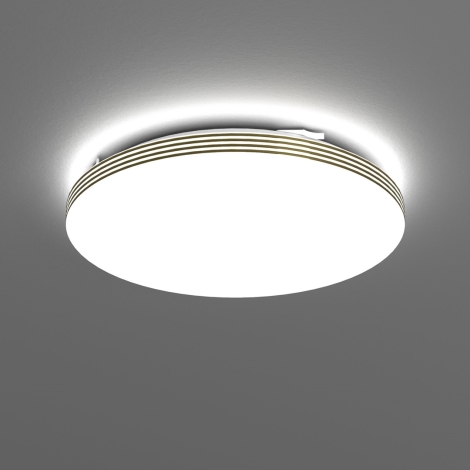 LED Koupelnové stropní svítidlo BEVER LED/16W/230V 4000K pr. 33 cm IP44