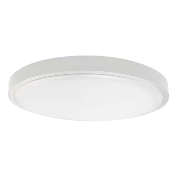 LED Koupelnové stropní svítidlo LED/18W/230V 4000K IP44 bílá