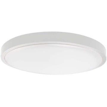 LED Koupelnové stropní svítidlo LED/18W/230V IP44 4000K pr. 25 cm bílá