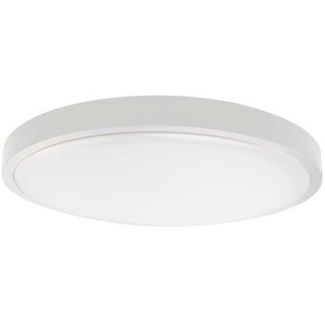 LED Koupelnové stropní svítidlo LED/18W/230V IP44 6500K pr. 25 cm bílá