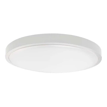 LED Koupelnové stropní svítidlo LED/24W/230V 4000K IP44 bílá