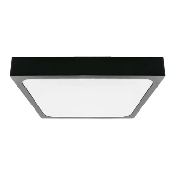 LED Koupelnové stropní svítidlo LED/24W/230V 6500K IP44 černá