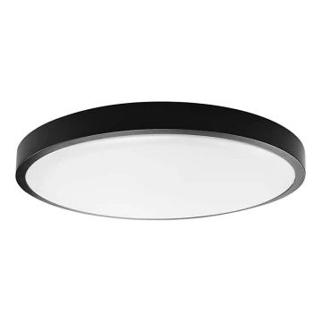 LED Koupelnové stropní svítidlo LED/24W/230V 6500K IP44 černá